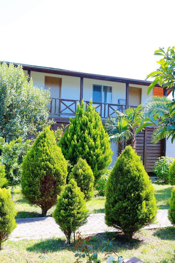 Guest House Alashara Picunda Kültér fotó