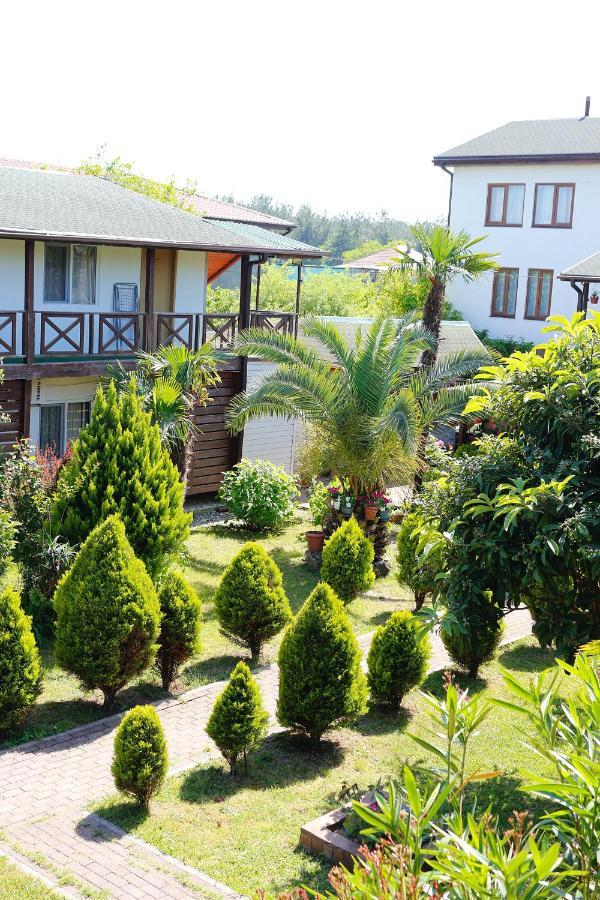 Guest House Alashara Picunda Kültér fotó